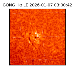 gong - 2026-01-07T03:00:42