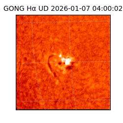 gong - 2026-01-07T04:00:02