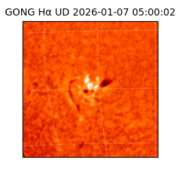 gong - 2026-01-07T05:00:02