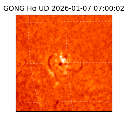 gong - 2026-01-07T07:00:02