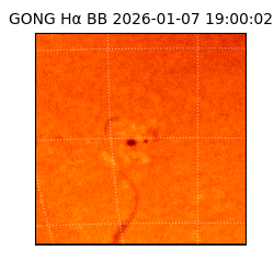 gong - 2026-01-07T19:00:02