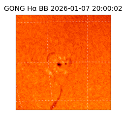 gong - 2026-01-07T20:00:02