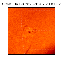 gong - 2026-01-07T23:01:02