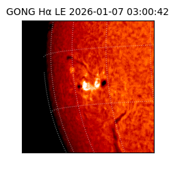 gong - 2026-01-07T03:00:42