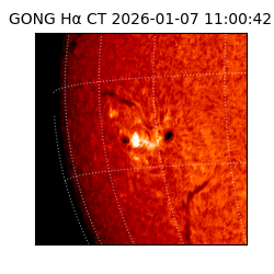 gong - 2026-01-07T11:00:42