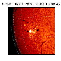gong - 2026-01-07T13:00:42