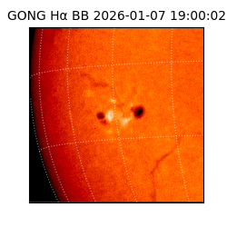 gong - 2026-01-07T19:00:02
