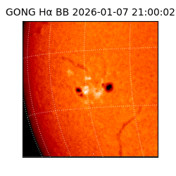 gong - 2026-01-07T21:00:02