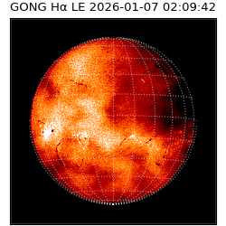 gong - 2026-01-07T02:09:42