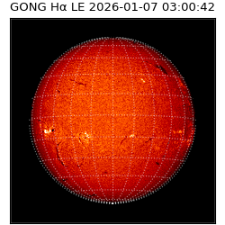 gong - 2026-01-07T03:00:42