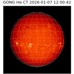 gong - 2026-01-07T12:00:42