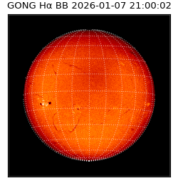 gong - 2026-01-07T21:00:02