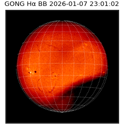 gong - 2026-01-07T23:01:02