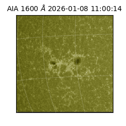 saia - 2026-01-08T11:00:14.131000