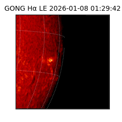 gong - 2026-01-08T01:29:42