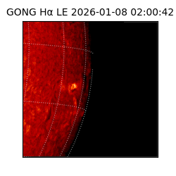 gong - 2026-01-08T02:00:42