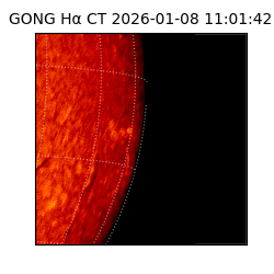 gong - 2026-01-08T11:01:42