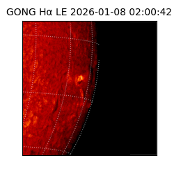 gong - 2026-01-08T02:00:42