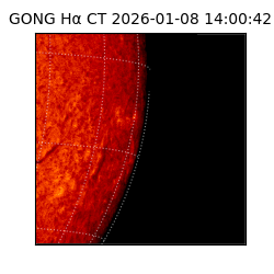 gong - 2026-01-08T14:00:42