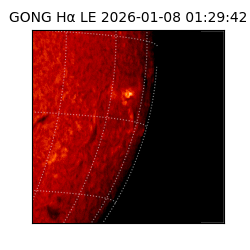 gong - 2026-01-08T01:29:42