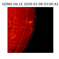 gong - 2026-01-08T03:00:42