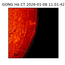 gong - 2026-01-08T11:01:42