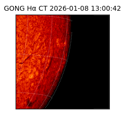 gong - 2026-01-08T13:00:42