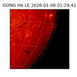 gong - 2026-01-08T01:29:42