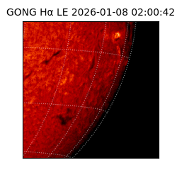 gong - 2026-01-08T02:00:42