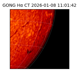gong - 2026-01-08T11:01:42