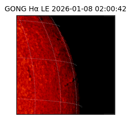 gong - 2026-01-08T02:00:42