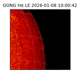 gong - 2026-01-08T10:00:42