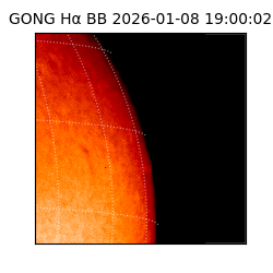 gong - 2026-01-08T19:00:02