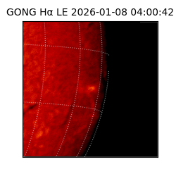 gong - 2026-01-08T04:00:42