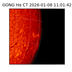 gong - 2026-01-08T11:01:42