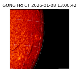 gong - 2026-01-08T13:00:42