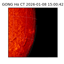 gong - 2026-01-08T15:00:42