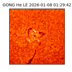 gong - 2026-01-08T01:29:42