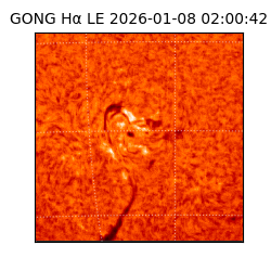 gong - 2026-01-08T02:00:42