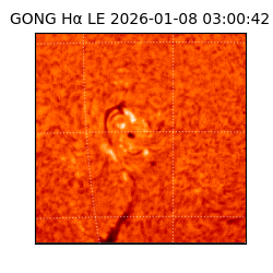 gong - 2026-01-08T03:00:42