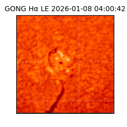 gong - 2026-01-08T04:00:42