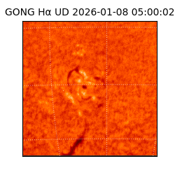 gong - 2026-01-08T05:00:02