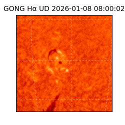 gong - 2026-01-08T08:00:02