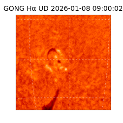 gong - 2026-01-08T09:00:02