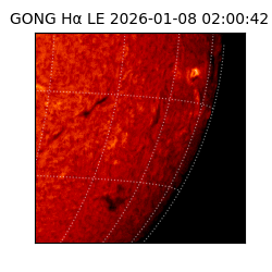 gong - 2026-01-08T02:00:42