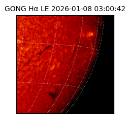 gong - 2026-01-08T03:00:42