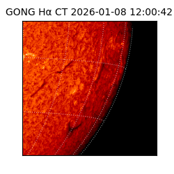 gong - 2026-01-08T12:00:42