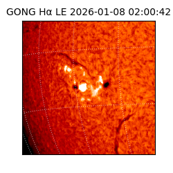gong - 2026-01-08T02:00:42
