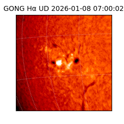 gong - 2026-01-08T07:00:02