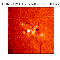 gong - 2026-01-08T11:01:42